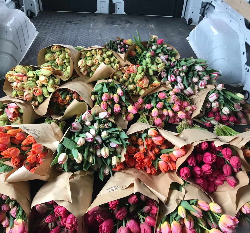 A Uhaul cargo van full of specialty tulips in a variety of bright colors