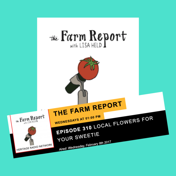 Heritage Radio Network Farm Report Local Flowers for your Sweetie Molly Oliver Flowers