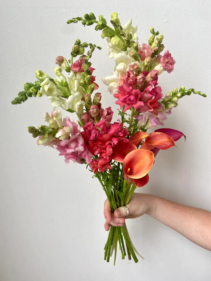 Butterfly Bronze Snapdragon Lady Marmalade Calla Lily Mixed Bouquet Subscription flowers Brooklyn