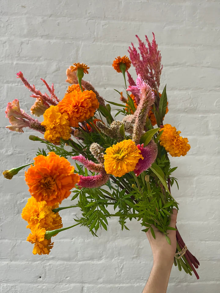 Orange and Gold Marigolds Celosia Plumosa Bouquet Subscription flowers seasonal Brooklyn