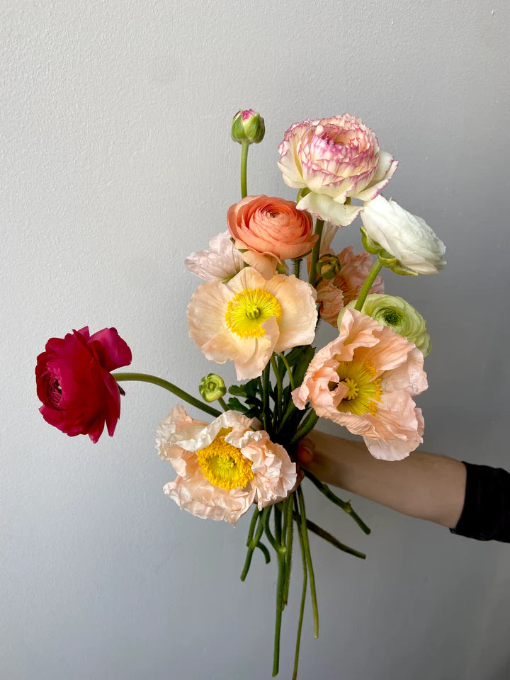 Salmon poppies and Salmon Ranunculus bouquet Picotee Brooklyn NY