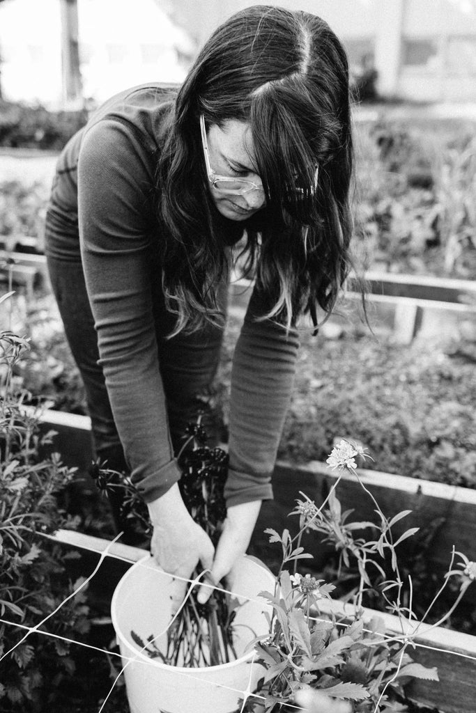 Molly Oliver Culver harvesting Black Knight Scabiosa at The Youth Farm Wingate High School for Public Service Brooklyn Kingston Avenue raised bed sustainable urban farm
