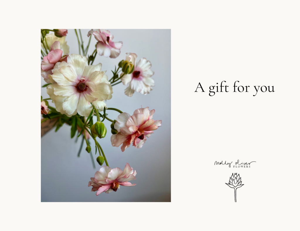 Molly Oliver Flowers gift certificate gift card sustainable florist brooklyn nyc