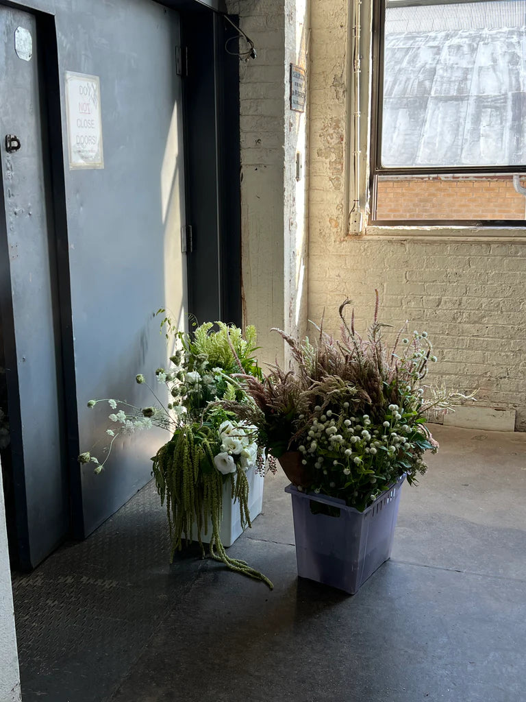 Gowanus Brooklyn NYC Sustainable Ecofriendly Florist Molly Oliver Flowers Woman owned Woman run small business seasonal flowers Celosia Amaranth Queen Anne’s Lace
