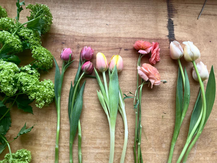 Seasonal Floral Design Workshops with Tulips