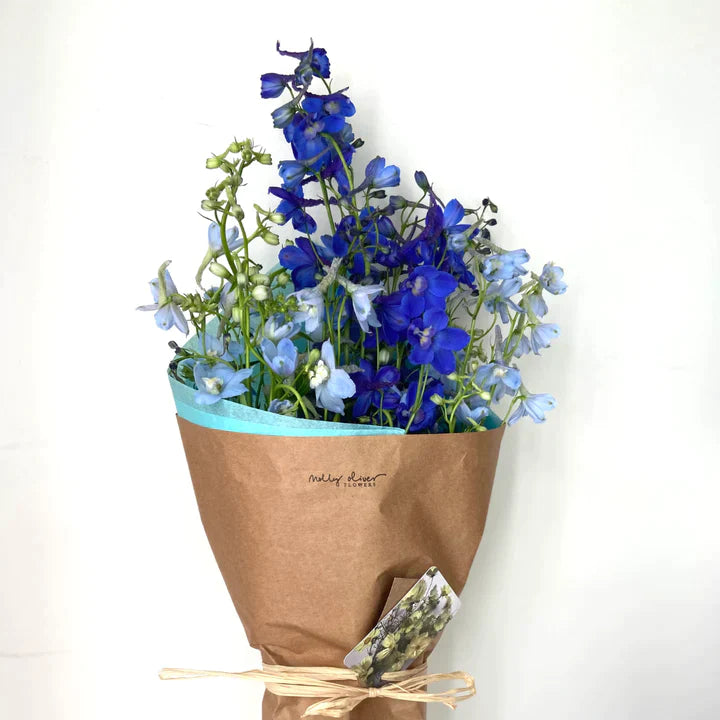 Handtied bouquet gift card compostable paper seasonal bouquet local flowers brooklyn Delphinium blue