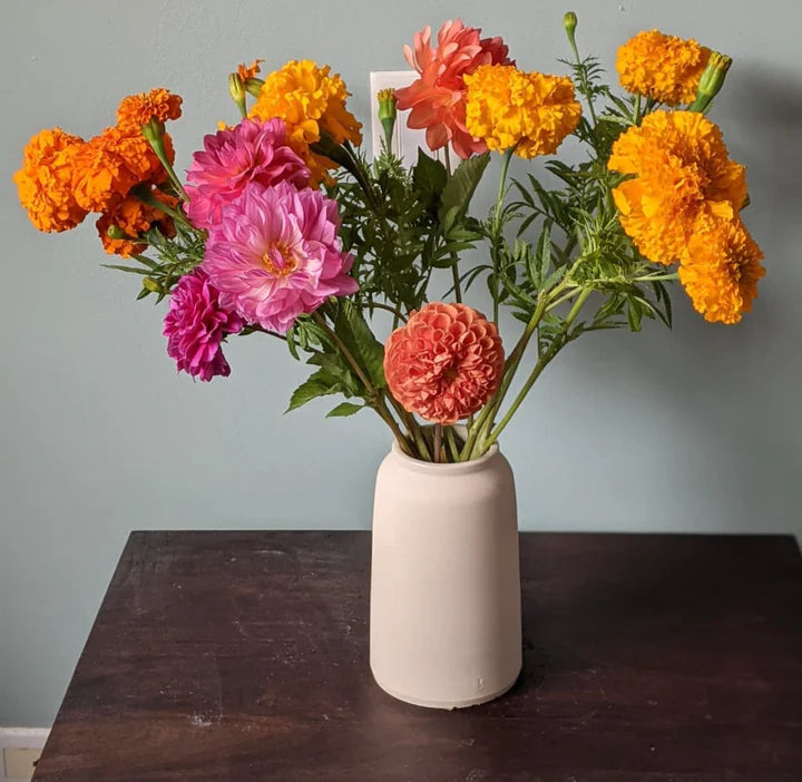 Veena Mosur Seasonal Flower Subscription Pink Dahlias Orange Marigolds Ceramic Vase and Gift Brooklyn New York City