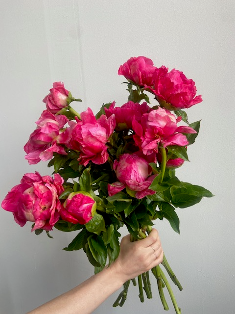 Lovely Rose Peony Subscription Bouquet Styers Brooklyn NY