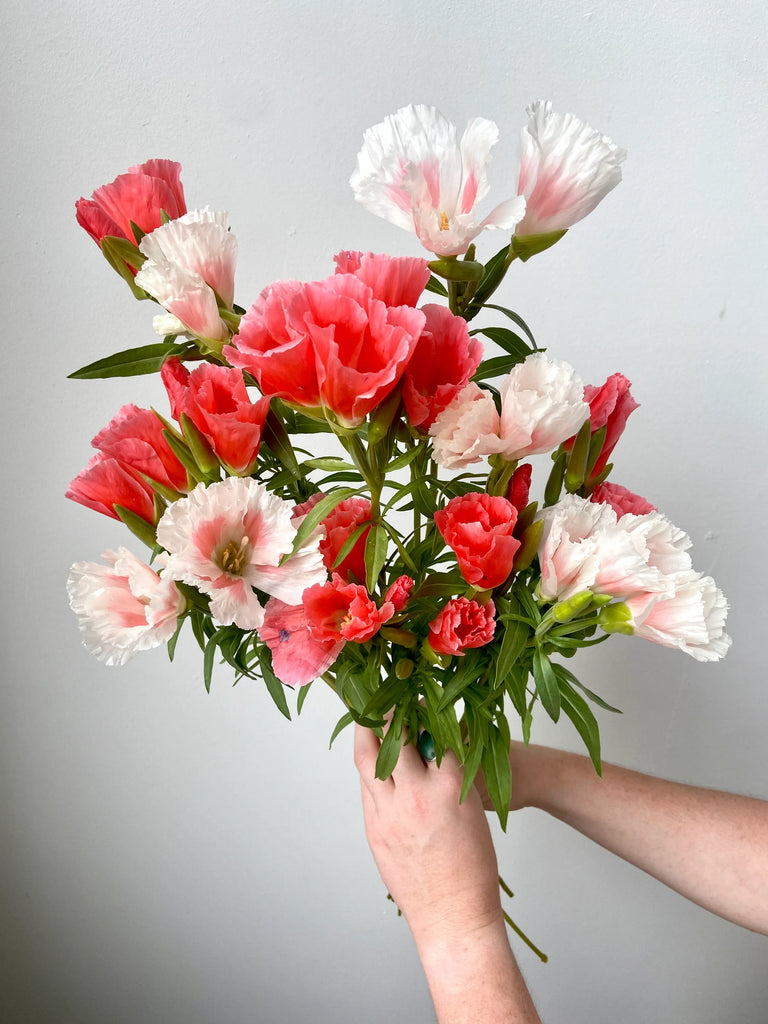 Godetia Grace Salmon and Grace Shell Pink Subscription Bouquet Local flowers Brooklyn