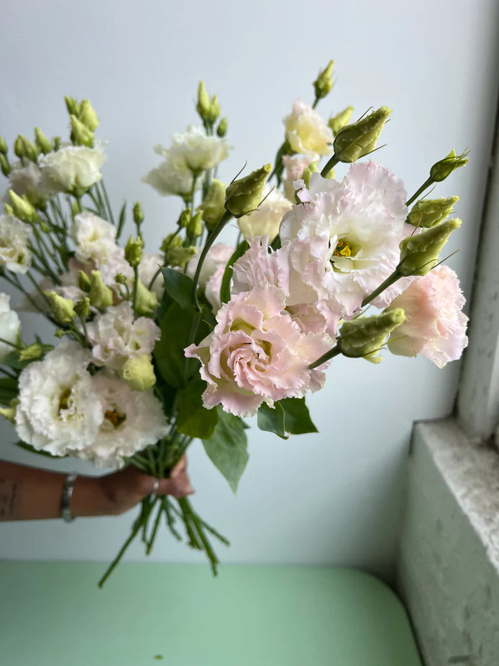 Lisianthus First Love bunch subscription bouquet Molly Oliver Flowers NYC delivery and pick up sustainable 100% locally sourced eco conscious waste free packaging