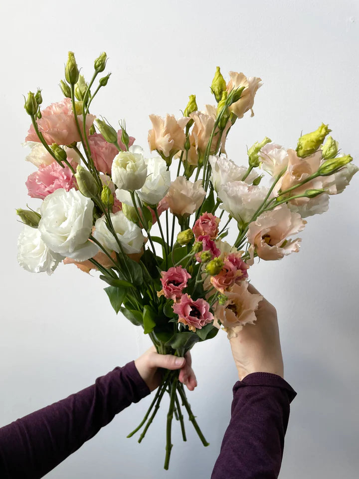Lisianthus First Love bunch subscription bouquet Molly Oliver Flowers NYC delivery and pick up sustainable 100% locally sourced eco conscious waste free packaging
