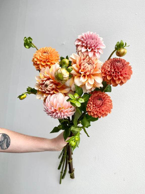 Dahlia bouquet peach orange salmon Peaches and Cream Orange Ice bunch subscription bouquet Molly Oliver Flowers NYC delivery and pick up sustainable 100% locally sourced eco conscious waste free packaging
