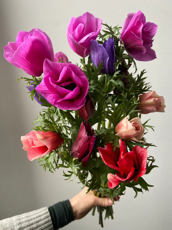 Anemones Hot Pink Orchid Violet Blue Red and White