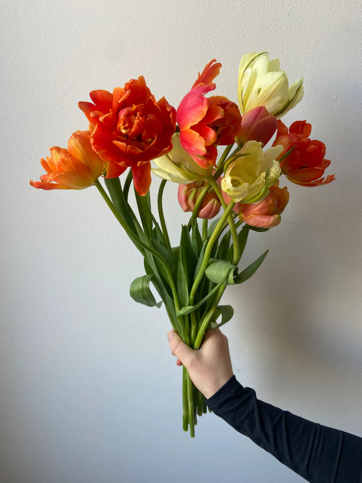 Specialty tulip subscription bouquet Exotic Emperor Icoon Formula 1 Monte Orange