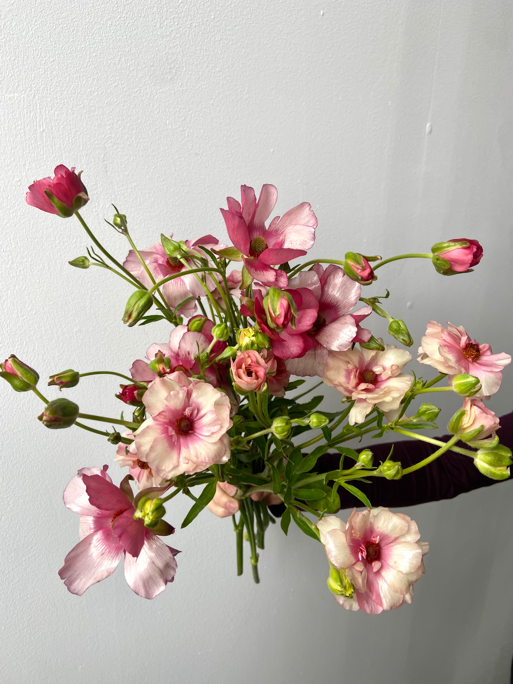 Butterfly_Ranunculus_Bouquet_Molly Oliver Flowers Sustainable Floral Delivery