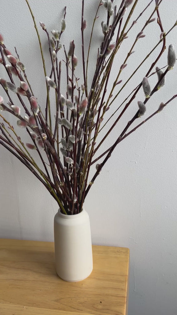 Pink Pussy Willow Bouquet Valentine Arrangement Delivery NYC Pickup Brooklyn