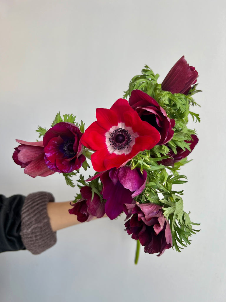 red purple anemone flower subscription delivery nyc