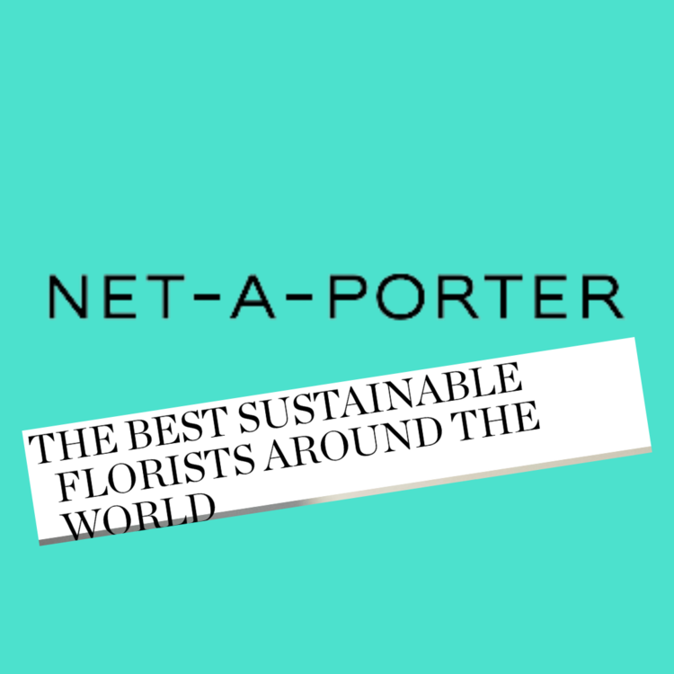 Net-a-porter on the best sustainable florists around the world MollyOliverFlowers